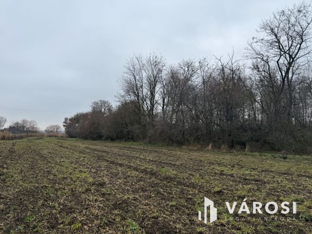 BEFEKTETÉSI LEHETŐSÉG PÁZMÁNDON - 8 TELEK, PANORÁMA