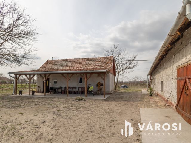 Ahol a munka meghozza gyümölcsét – szó szerint