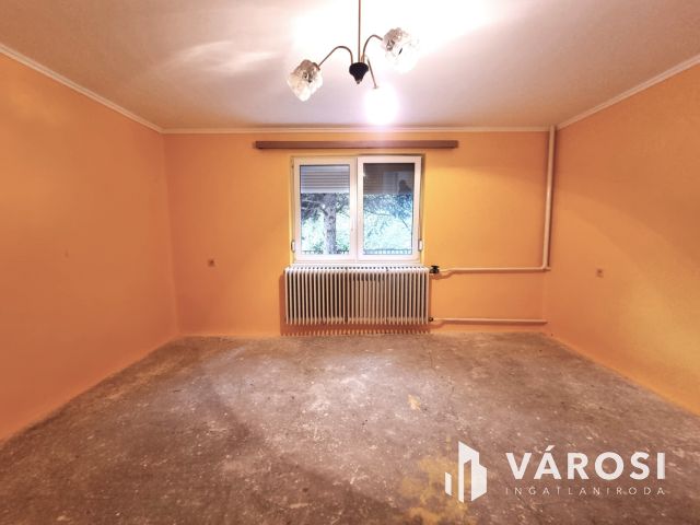 Vízpart közeli telken, kiváló szerkezetű tégla ház eladó