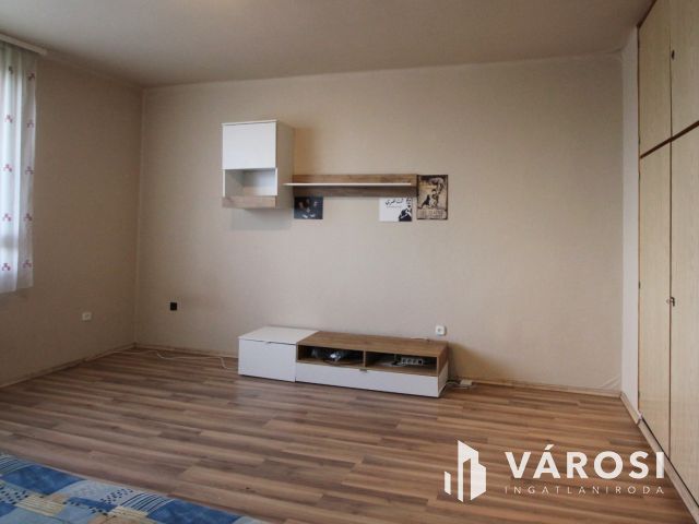 Központi de mégis csendes lakás Szolnokon