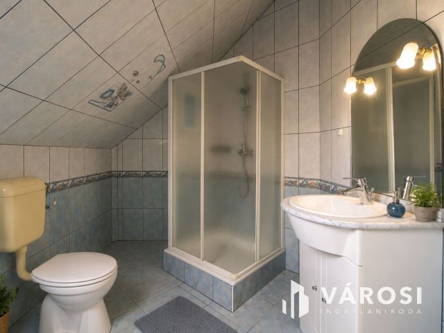 Zöldövezeti panoráma szaunával,konditeremmel,dupla garázzsal
