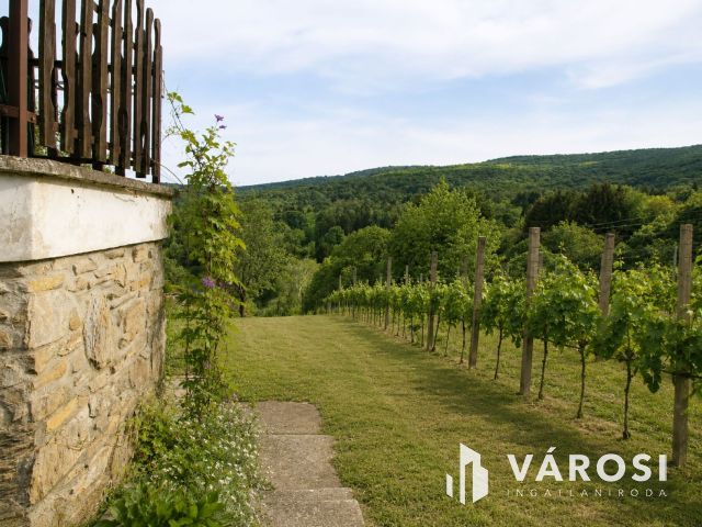 Bordeaux-i hangulatú szőlőbirtok eladó Kőszegen