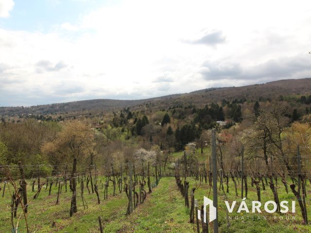 Panorámás zártkerti telek Kőszeg kedvelt Királyvölgyében!
